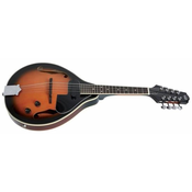 TENNESSE MANDOLINA A5E F-holes with case and pickup