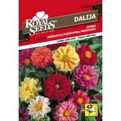 SEME ROYAL SEEDS 36 Dalija nizka OPERA Mešanica