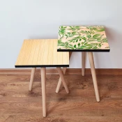 Hanah Home Set klub stocica 2Shp505, 2 komada, Šareni