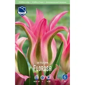 Čebulice tulipan Florosa, 10 kosov