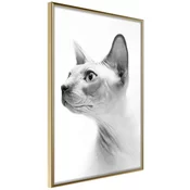 Poster - Sphinx 40x60
