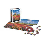 Sentosphére Puzzle 1000 kosov - Pokrajina - Polja tulipanov - Nizozemska