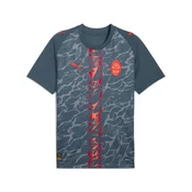 Mens Puma FC Shakhtar Donetsk 25/26 Away Jersey, Gray, Size S, Sport