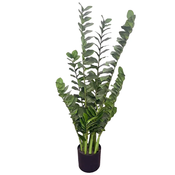 Umetna zamija 110 cm (Zamioculcas) - 101 do 150 cm