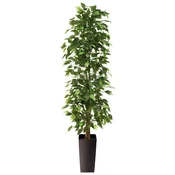 Umetno drevo fikusa visoke kakovosti 160 cm