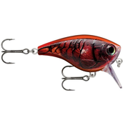 Rapala Wobbler BX Big Brat 06 DEL