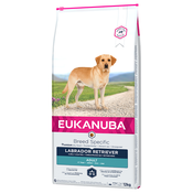 Eukanuba Adult Breed Specific Labrador Retriever - 2 x 12 kg
