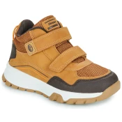 BEPPI  2202041-CAMEL  Kostanjeva
