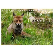 Heimische Tierwelt (Tischkalender 2025 DIN A5 quer), CALVENDO Monatskalender