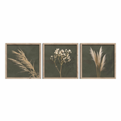 Plakati v kompletu 3 ks z okvirjem 30x30 cm Pampas – Styler