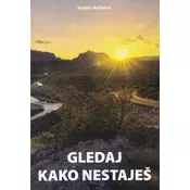 Gledaj kako nestaješ
