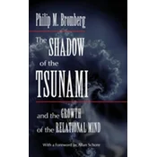 The Shadow of the Tsunami