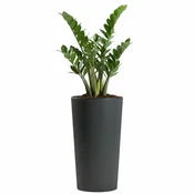 shumee Urbanika ECO cvetlični lonček antracit v46,6x25,5 cm