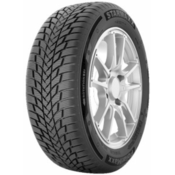 STARMAXX zimska pneumatika 205 / 60 R16 96H PolarMaxx XL