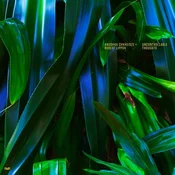 Anushka Chkheidze & Robert Lippok - Uncontrollable Thoughts (LP)