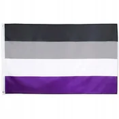 shumee LGBT MAVRIČNA ZASTAVA VELIKA 90x150cm ASEQUENTITY F10