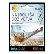 SELECTCARD SELECTCARD SelectGold Black (B), (5000089718)