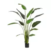 STRELICIJA UMETNA V LONCU V235cm, 13 LISTOV