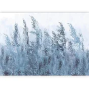 artgeist Fototapeta Tall Grasses, 150x105cm