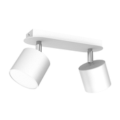 Stropna svetilka DIXIE WHITE 2xGX53