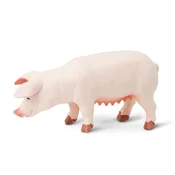 Safari Prašič