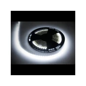 LED trak 25m Rebel (1500x5050 SMD) hladna bela, 12V
