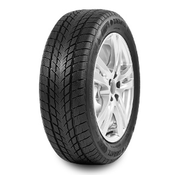 Davanti Wintoura ( 185/60 R15 88T XL )