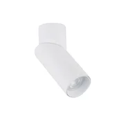 Stropna LED svetilka Nowodvorski INDIA 7858 jeklo, bela