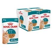 Royal Canin AGEING 11+ Gravy koščki v omaki za mačke, starejše od 11 let - 24 x 85 g