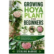 GROWING HOYA PLANT FOR BEGINNERS