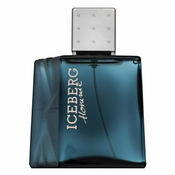 Iceberg Homme Toaletna voda za moške 100 ml