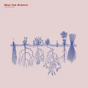 Ghost Funk Orchestra - A New Kind Of Love (LP)