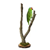 shumee BioCork Tree Drevo na podstavku iz vej plutovinskega hrasta za papige 60 cm