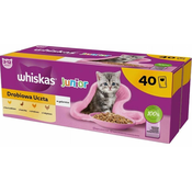 WHS WHISKAS Junior Poultry in jelly - wet cat food - 40 x 85g
