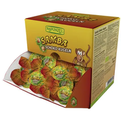 RAPUNZEL Cokoladne kuglice samba BIO 50g