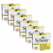 Schesir cat tuna s slaniki v obari 6x70 g