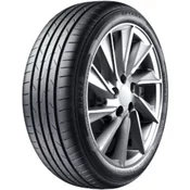 Aptany RP062 ( 205/60 R15 91V )