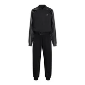 ADIDAS SPORTSWEAR Športne hlače črna