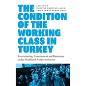The Condition of the Working Class in Turkey
