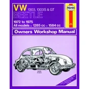 VW Beetle 1303