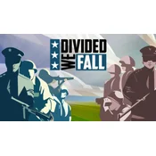 Divided We Fall