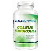 Koleus forskohlii - 90 kapsul