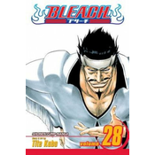 Bleach vol. 28