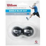 Wilson staff squash blue dot 2 pack ball wrt617500