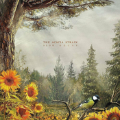 Acacia Strain Slow Decay (CD)