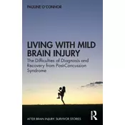 Living with Mild Brain Injury