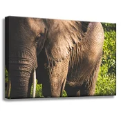 shumee Platno s sliko Živali Slon od blizu 60x40 cm