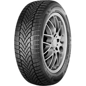 Falken EUROWINTER HS02 ( 205/65 R17 100H XL BLK )