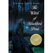 Witch of Blackbird Pond