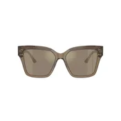 Jimmy Choo Naocare za sunce JC 5003 50405A